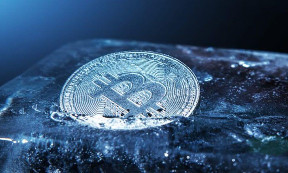 Crypto Winter Will End Before 2022 Is Out - MetaFinancies